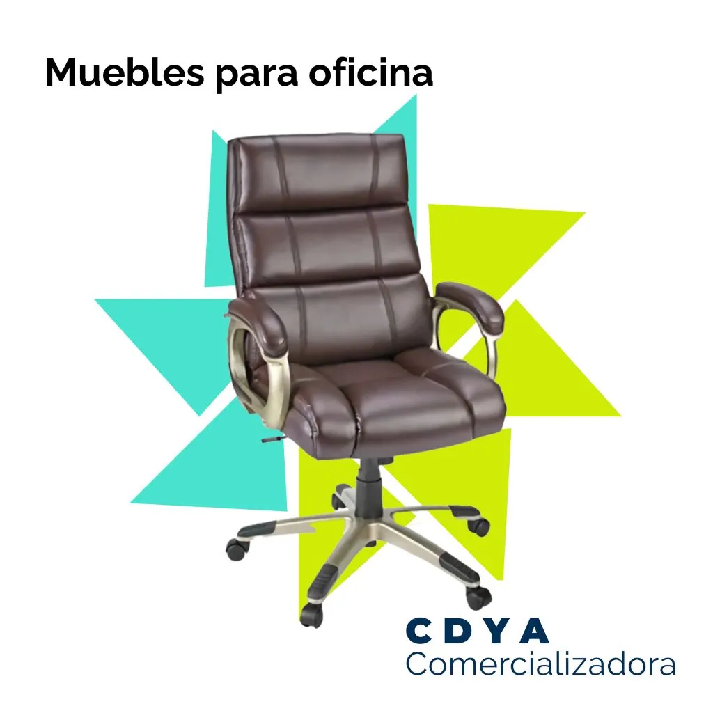 OFICINA CDYA COMERCIALIZ SILLON EJECUT_11zon